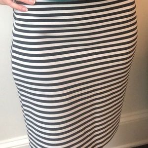 Loft Women’s Pencil Skirt